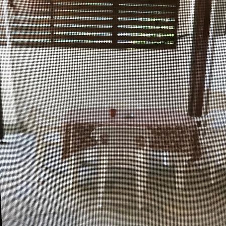 Nikos & Panagiota Lägenhet Vourvourou Exteriör bild