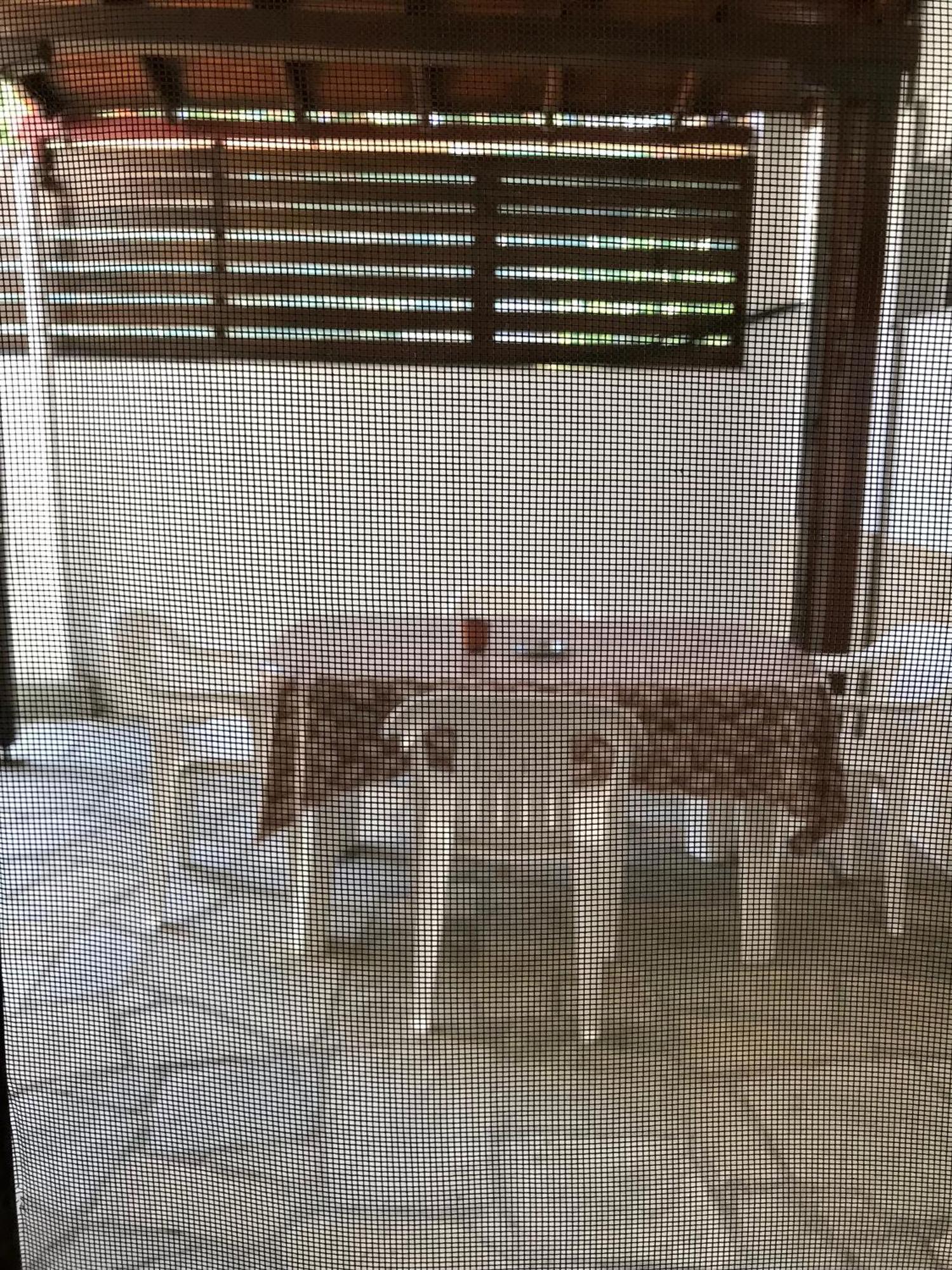 Nikos & Panagiota Lägenhet Vourvourou Exteriör bild